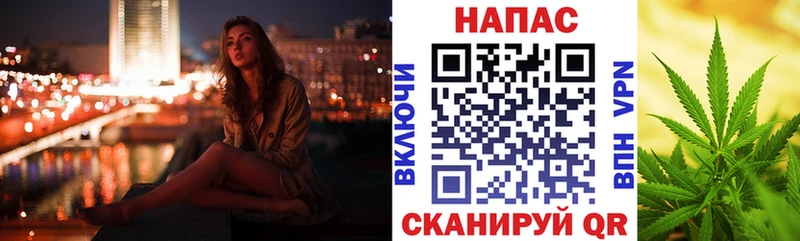 купить наркотик  Багратионовск  kraken   Каннабис семена 